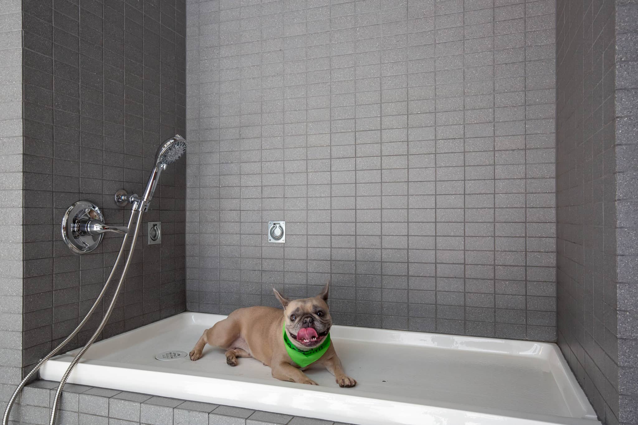 Cortland Alameda Station photo 27