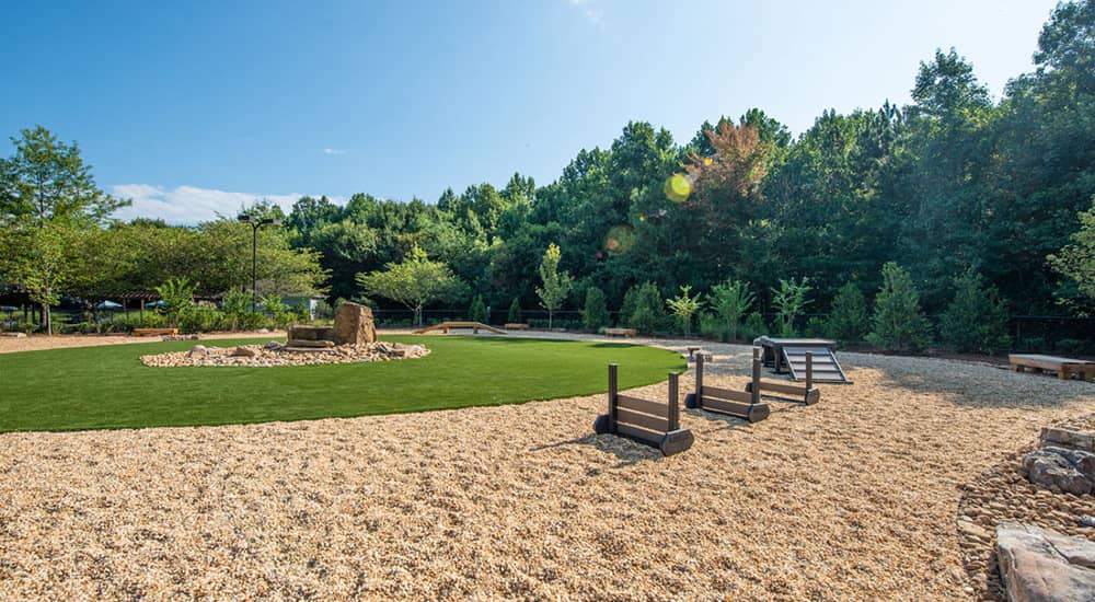 Cortland Duluth photo 22