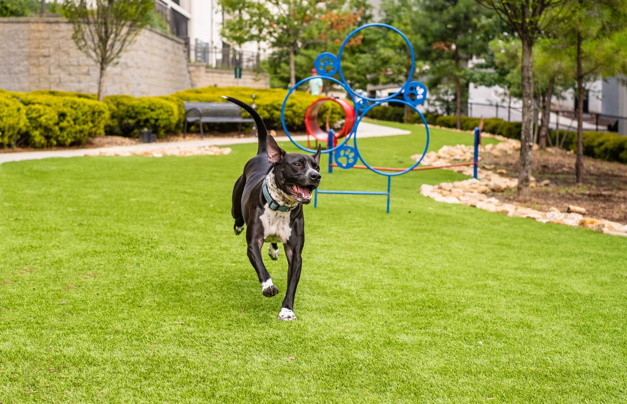 Cortland at Phipps Plaza photo 23