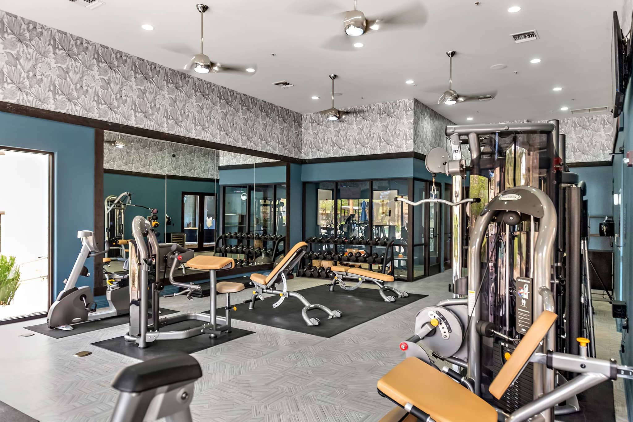 Cortland on the Loop photo 14