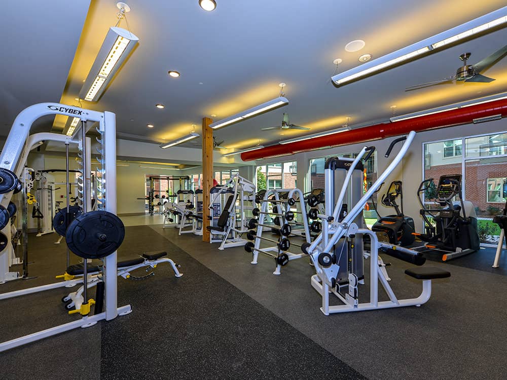 Cortland at Phipps Plaza photo 17