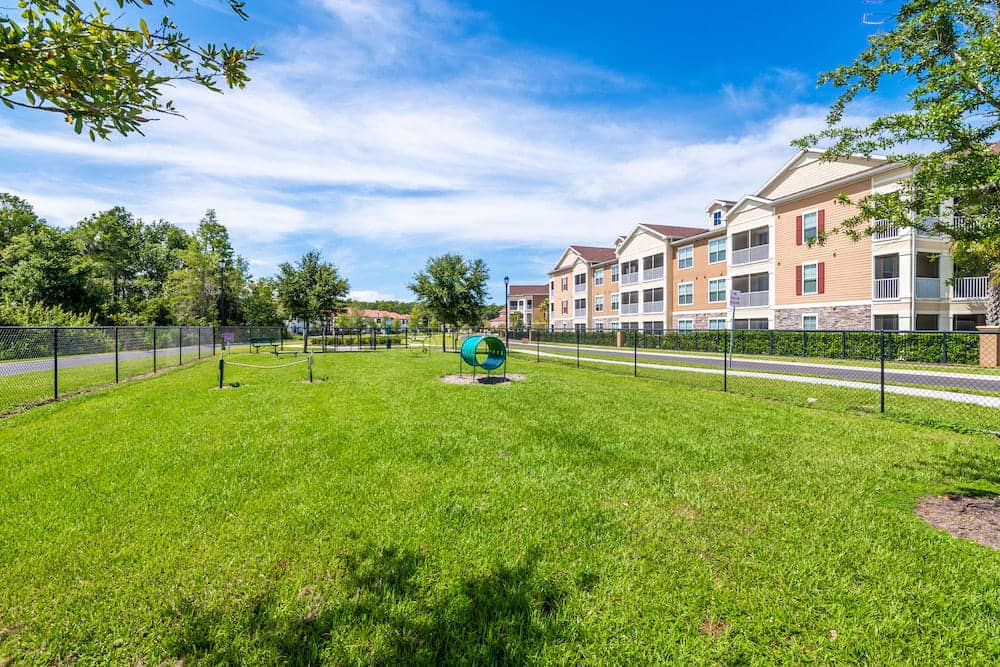 Cortland Jubilee Park photo 26