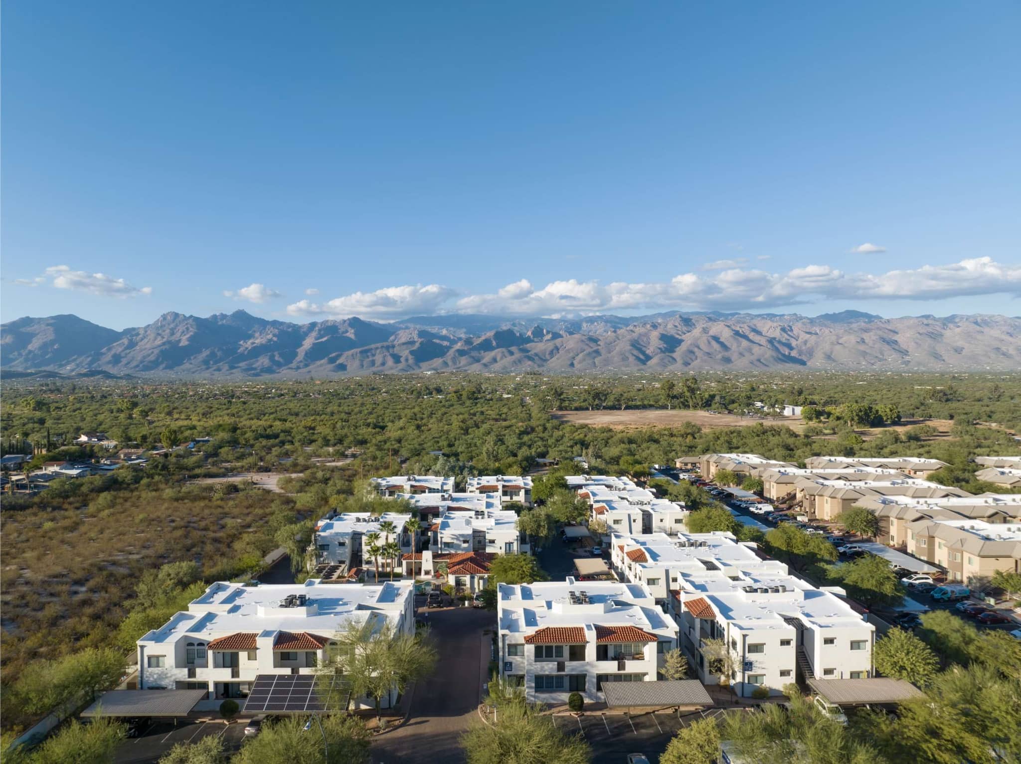 Cortland Las Casas photo 40