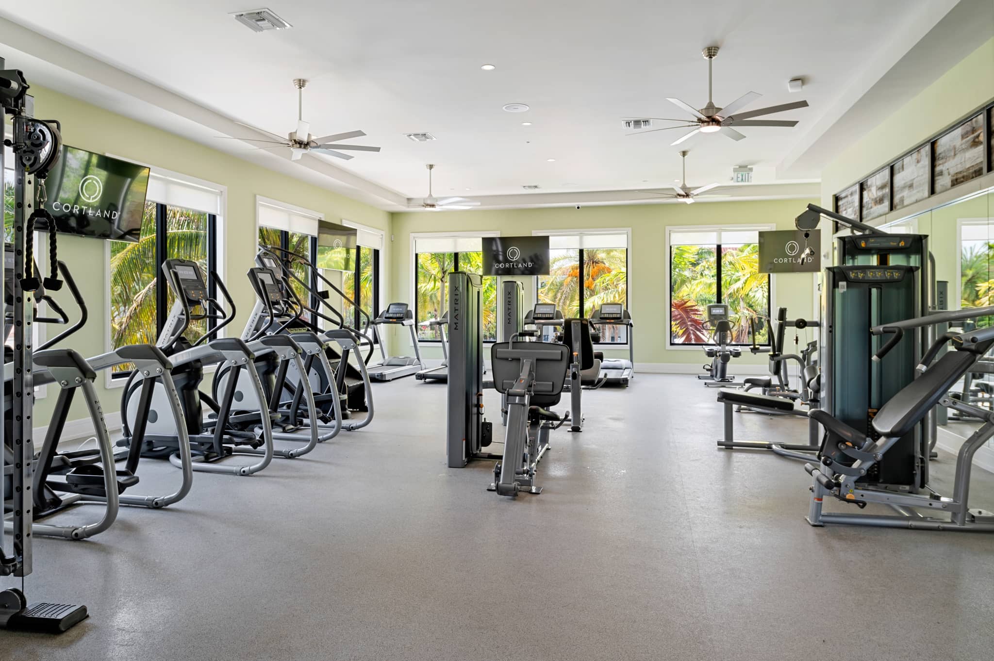 Cortland South Kendall photo 5