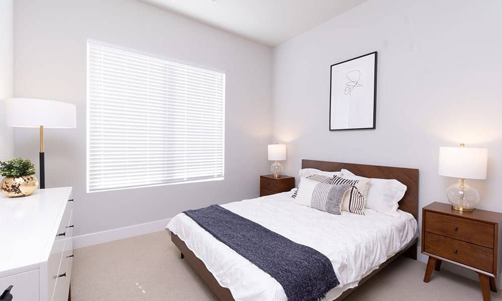 Cortland Oleander photo 20