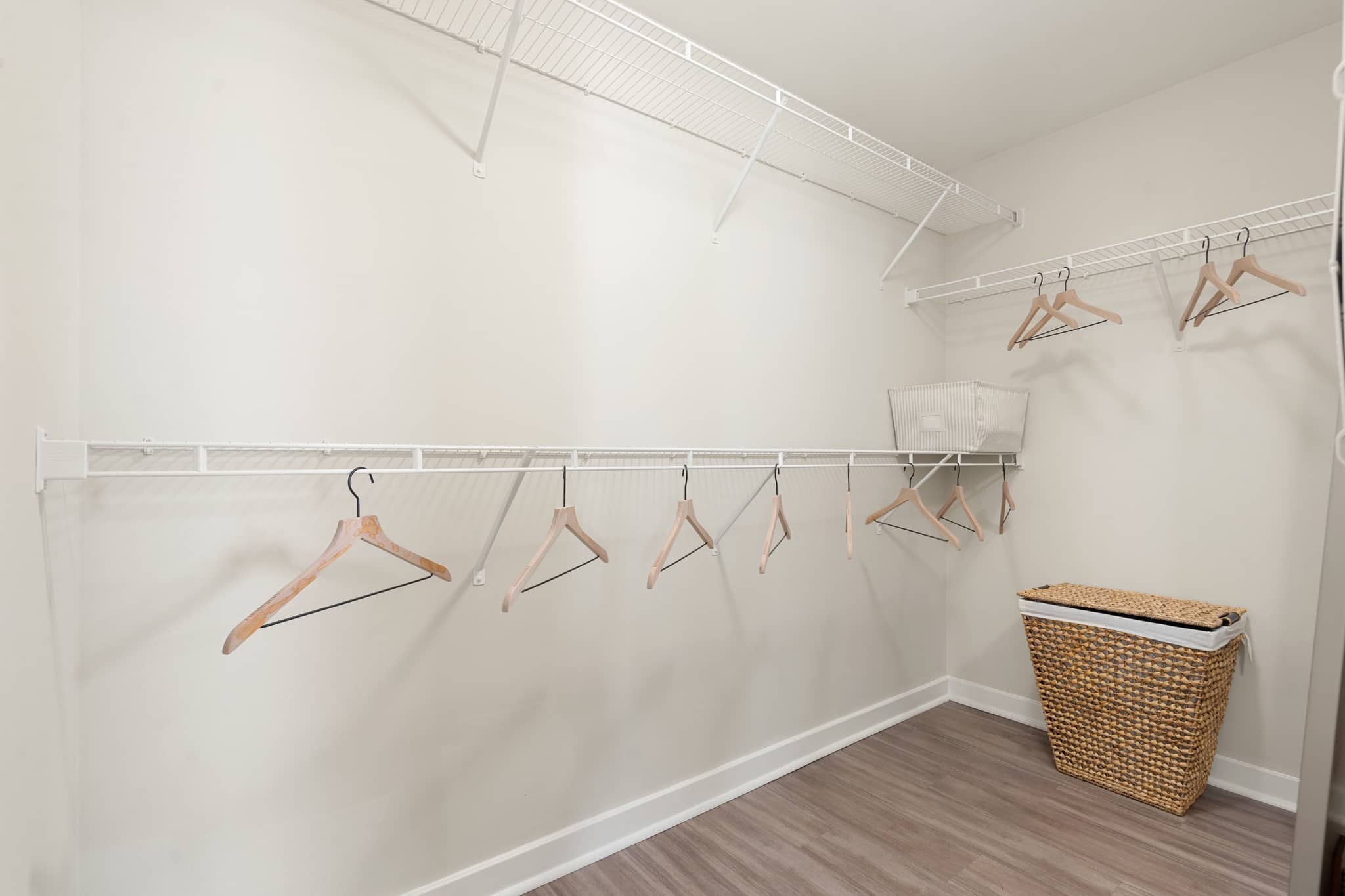 Cortland Hollywood photo 18