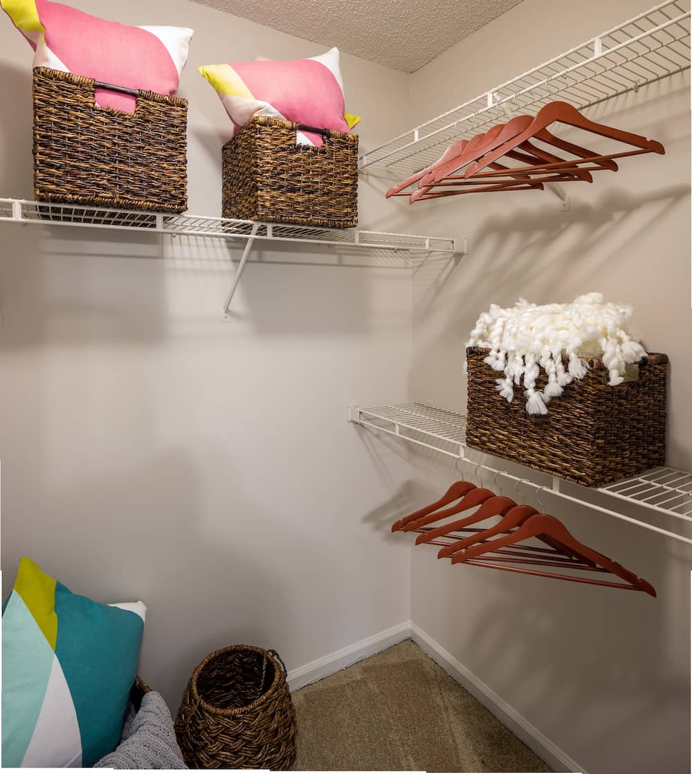 Cortland 3131 photo 15