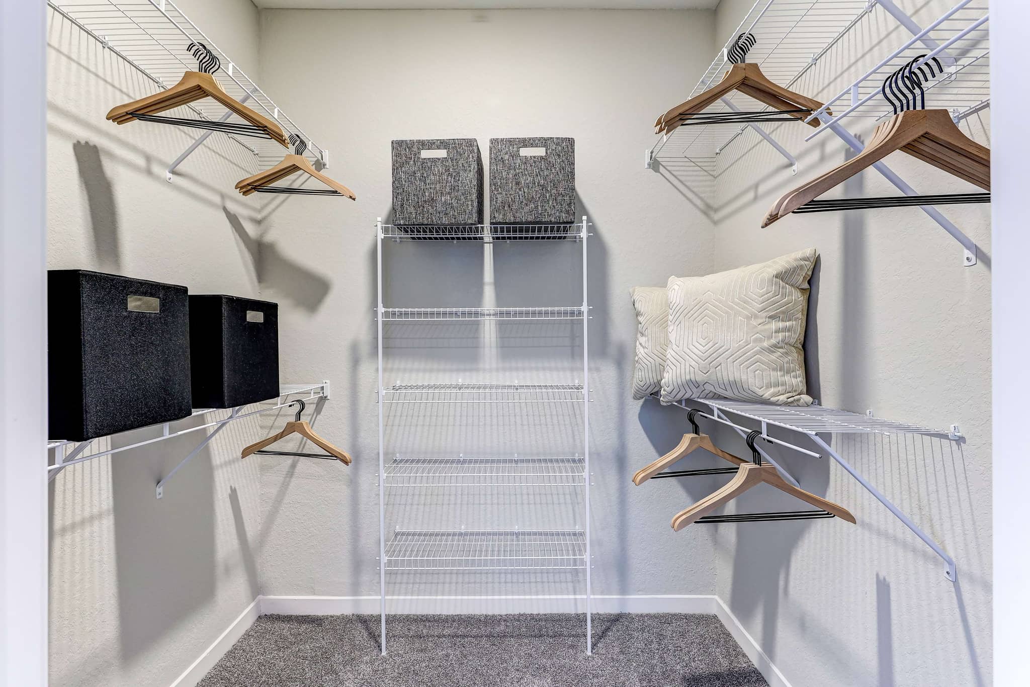 Cortland on Orange photo 16