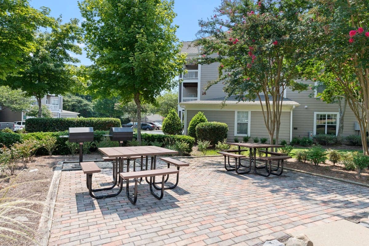 Cortland Falls River photo 18