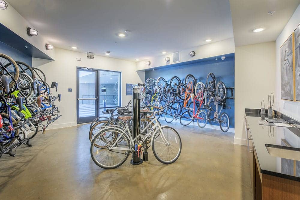 Cortland NoDa photo 9