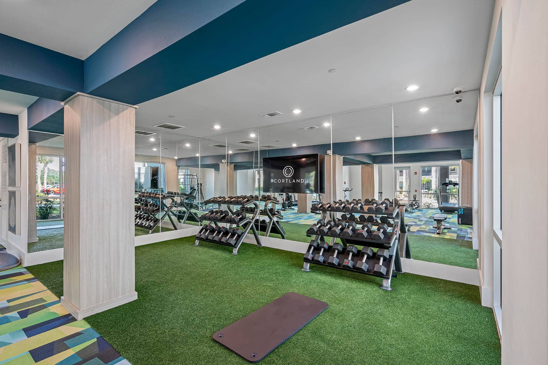 Cortland Satori photo 26