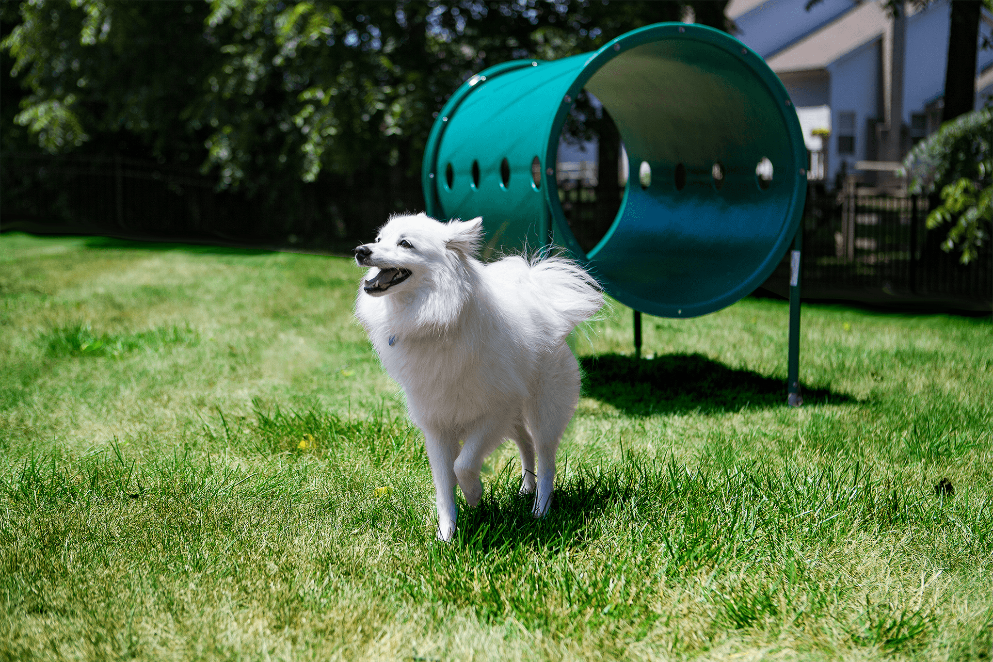 Sunbury Ridge photo 18