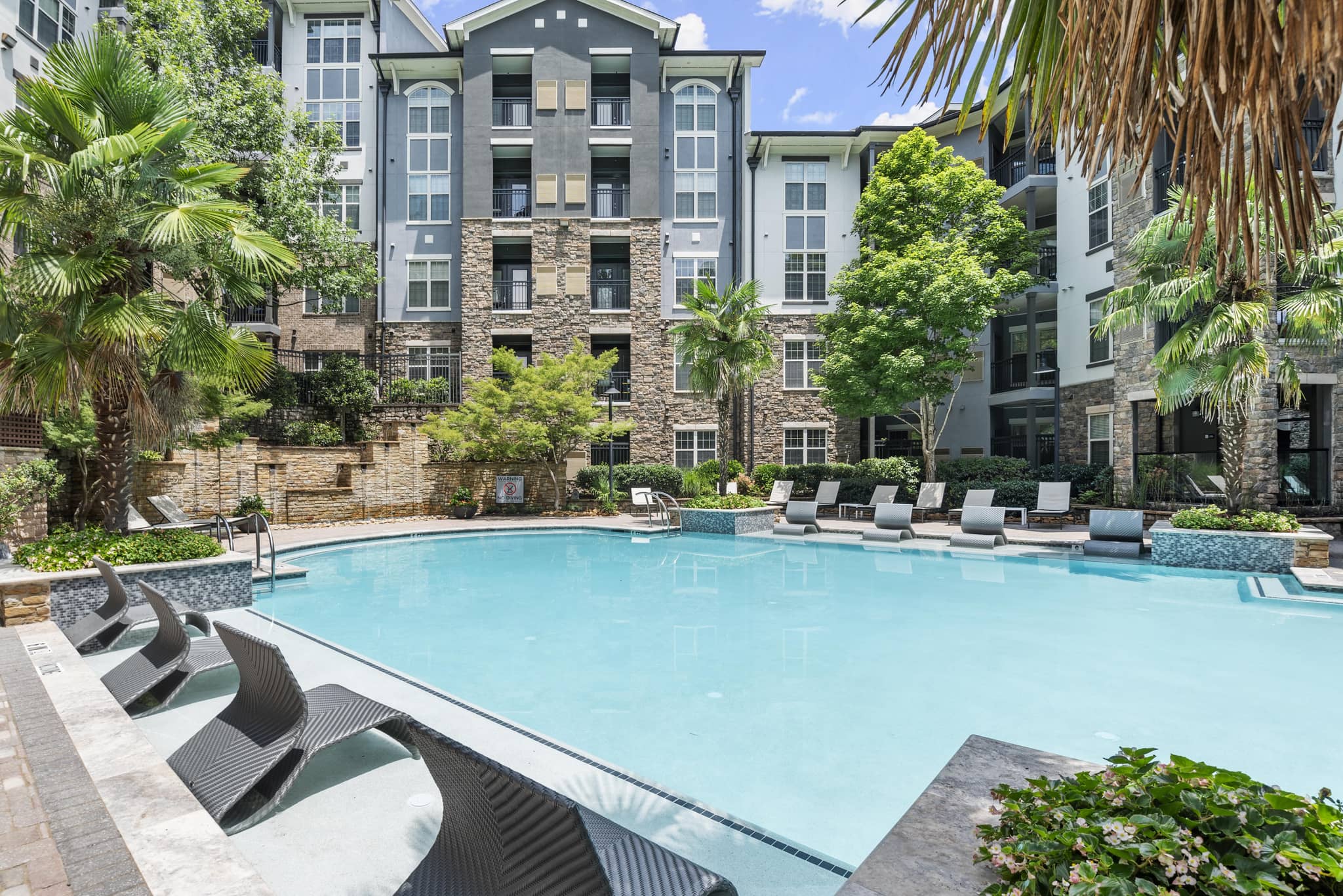 Cortland Oleander photo 34