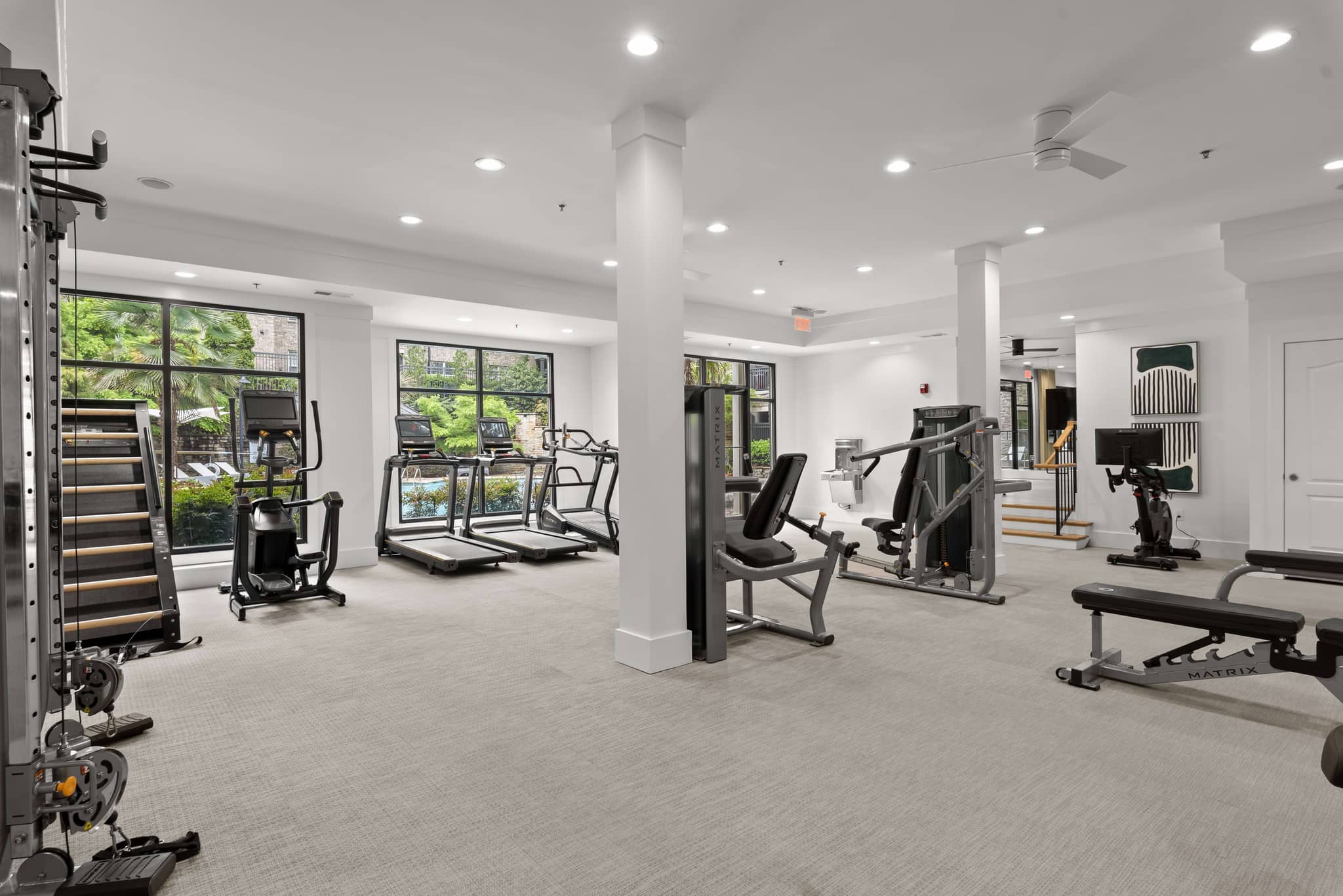 Cortland Oleander photo 30