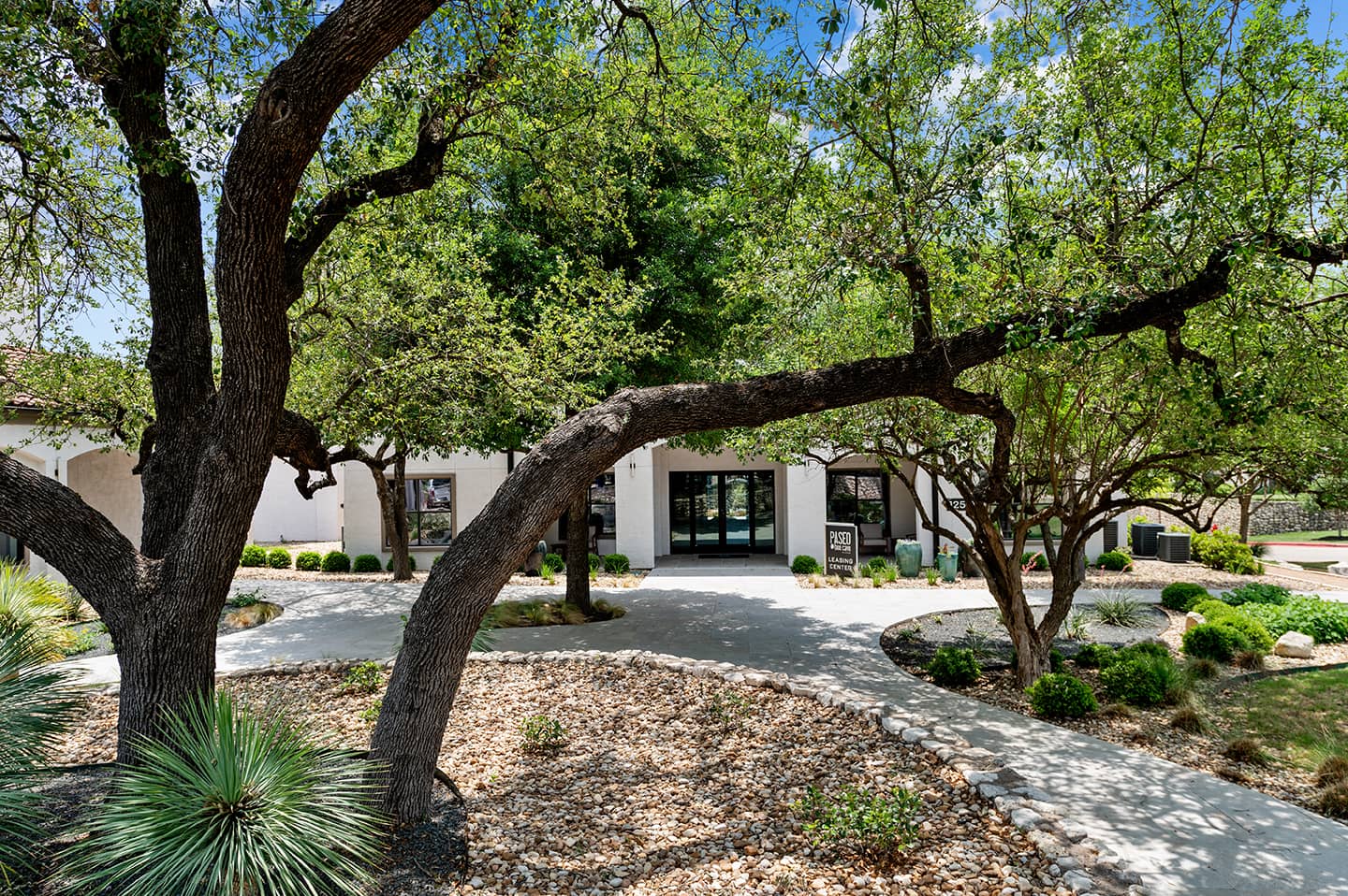 Paseo at Bee Cave photo 35