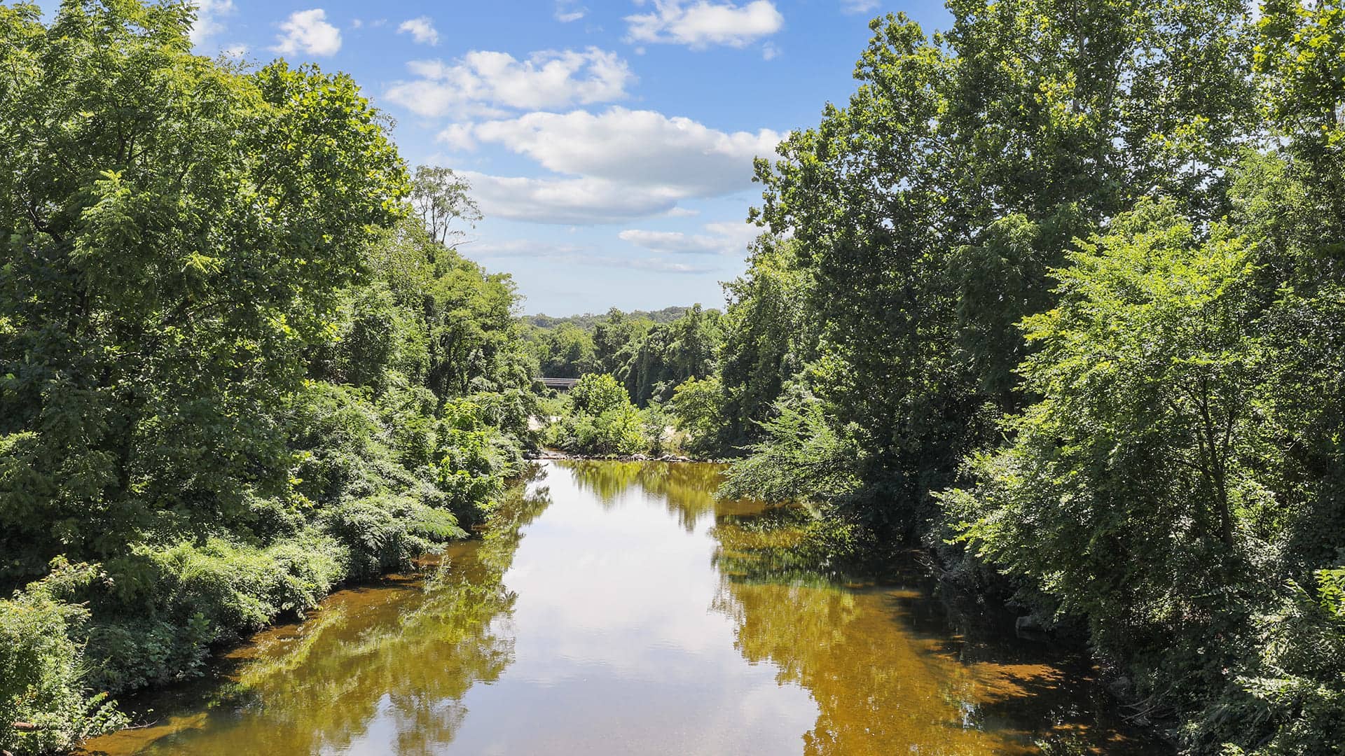 Cortland Van Dorn photo 31