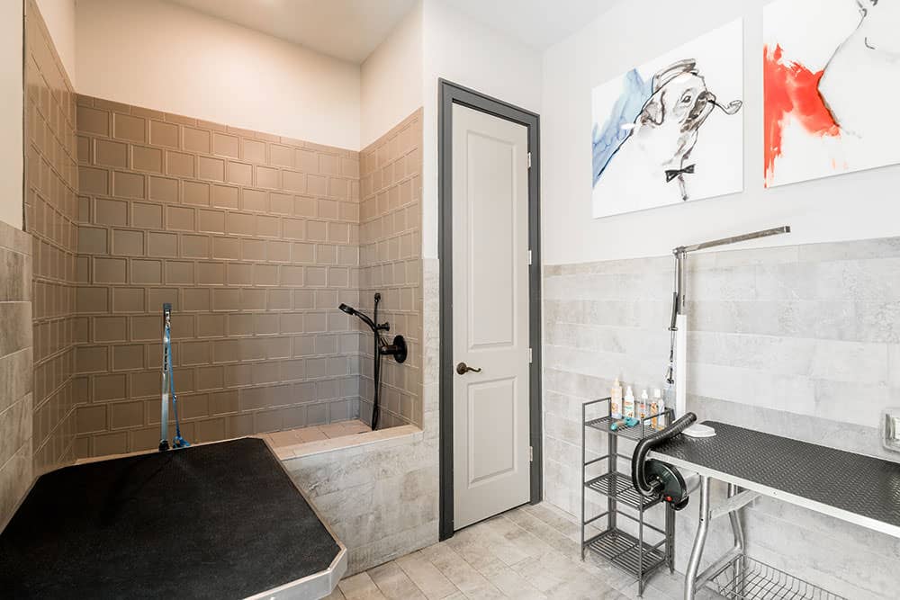 Cortland Broomfield photo 26