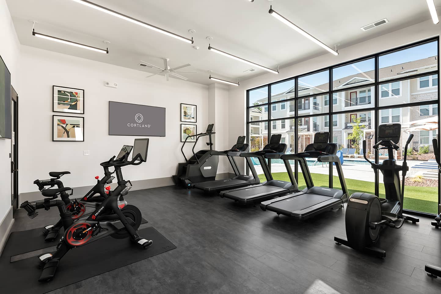 Cortland Wren Northlake photo 5