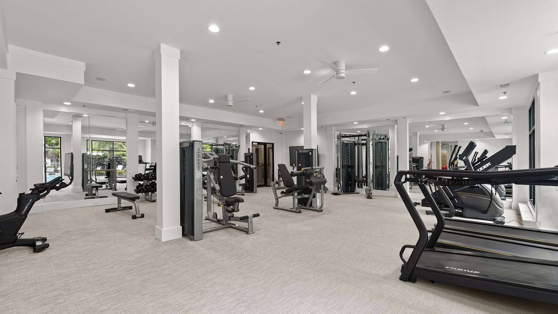 Cortland Oleander photo 25