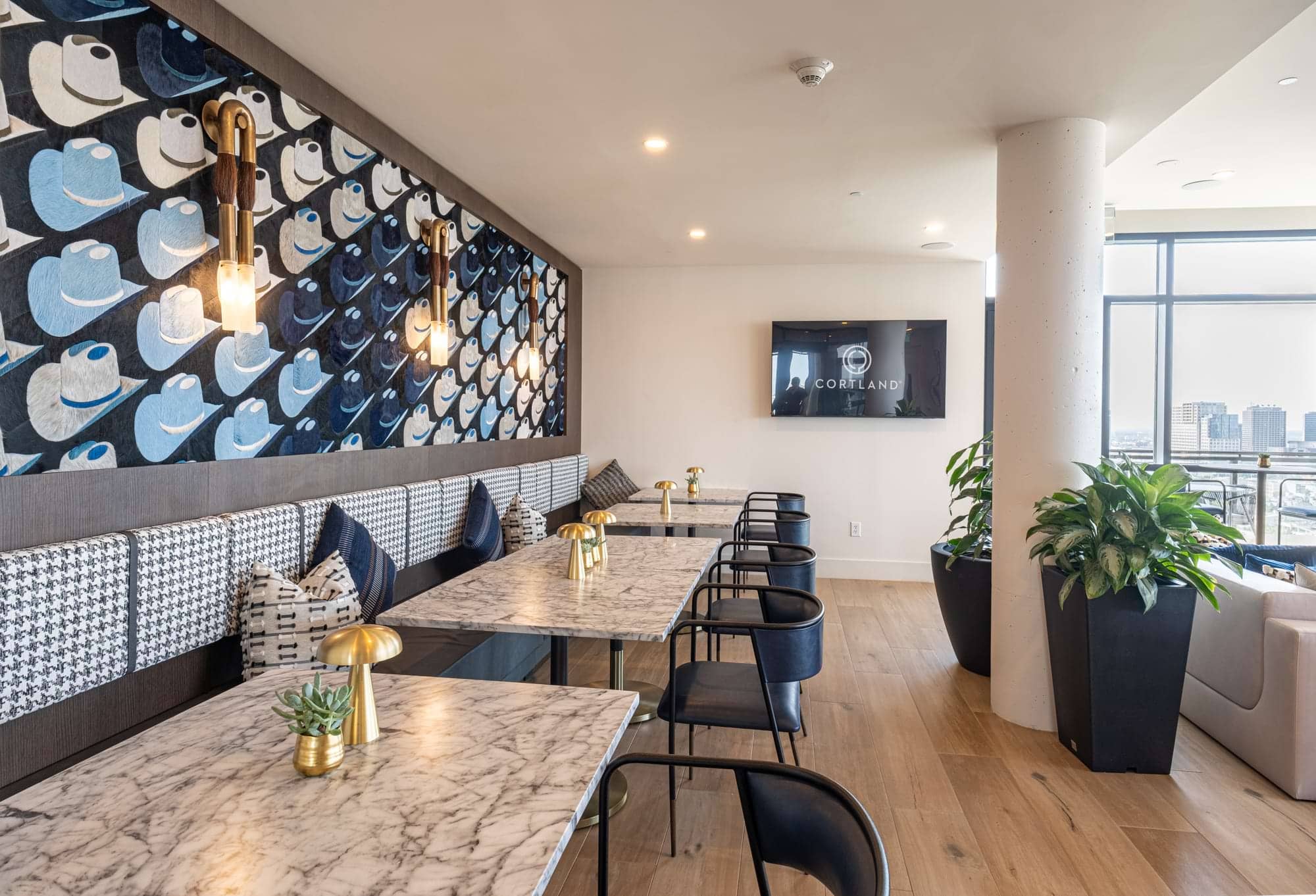 Cortland M-Line photo 26